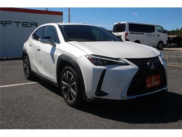 LEXUS UX300h