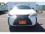 LEXUS UX300h