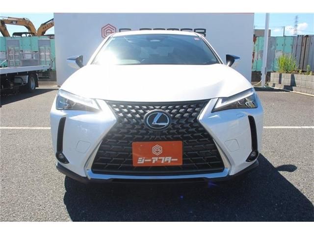 LEXUS UX300h