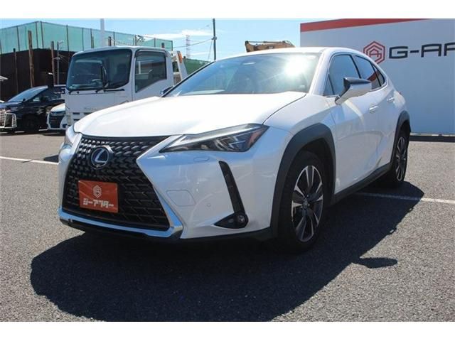 LEXUS UX300h