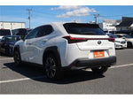 LEXUS UX300h