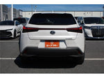 LEXUS UX300h