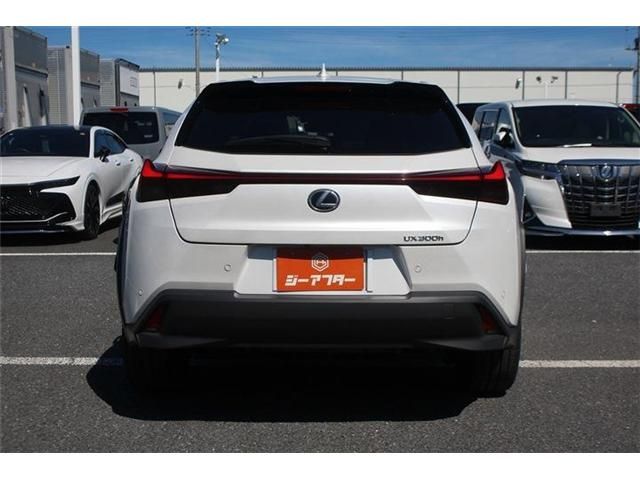 LEXUS UX300h