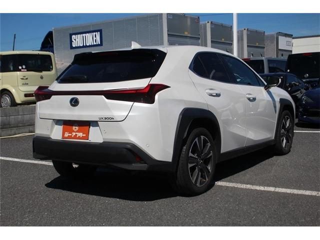 LEXUS UX300h