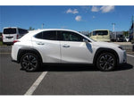 LEXUS UX300h