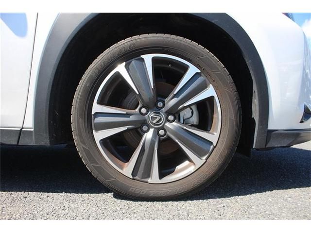 LEXUS UX300h