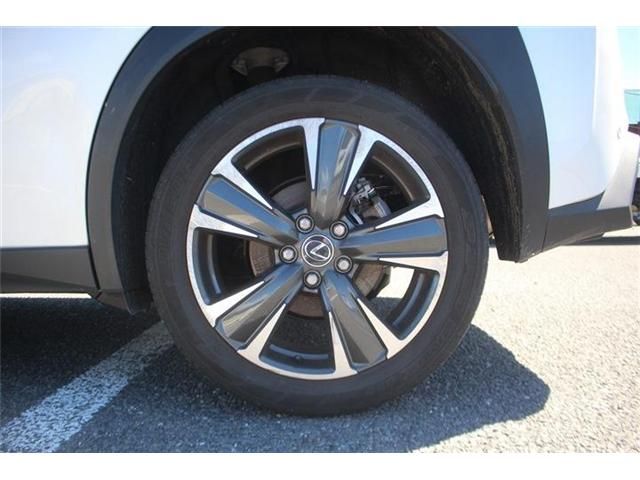 LEXUS UX300h