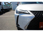 LEXUS UX300h
