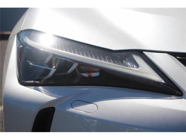 LEXUS UX300h