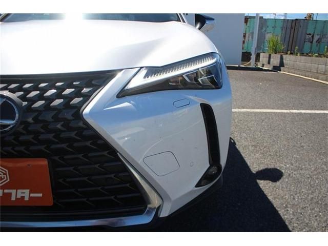 LEXUS UX300h