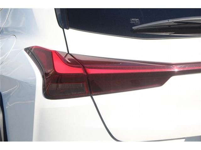 LEXUS UX300h