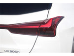 LEXUS UX300h