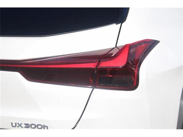 LEXUS UX300h