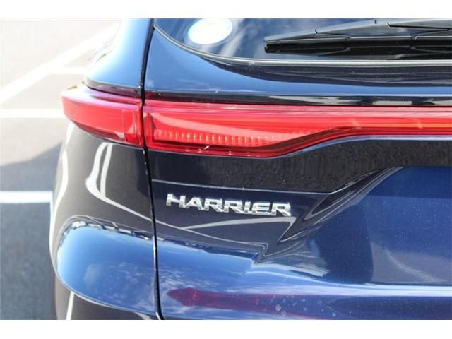 HARRIER HYBRID