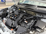 RAIZE HYBRID