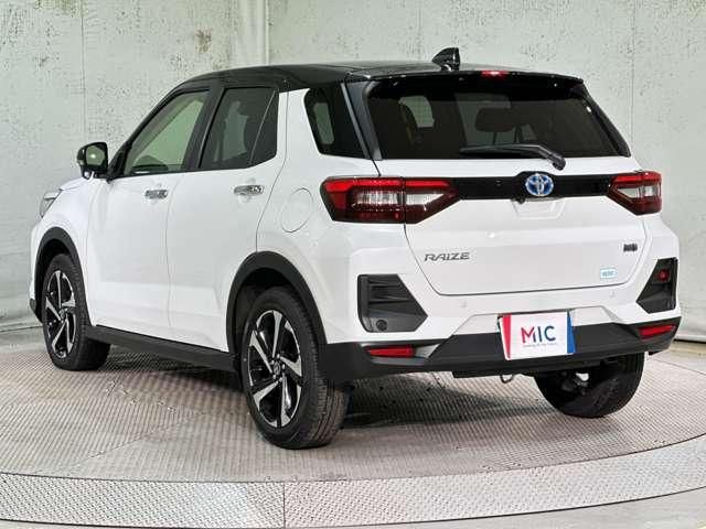 RAIZE HYBRID