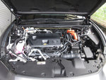 CROWN SPORT