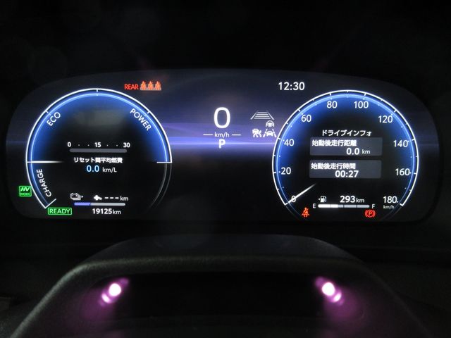 CROWN SPORT