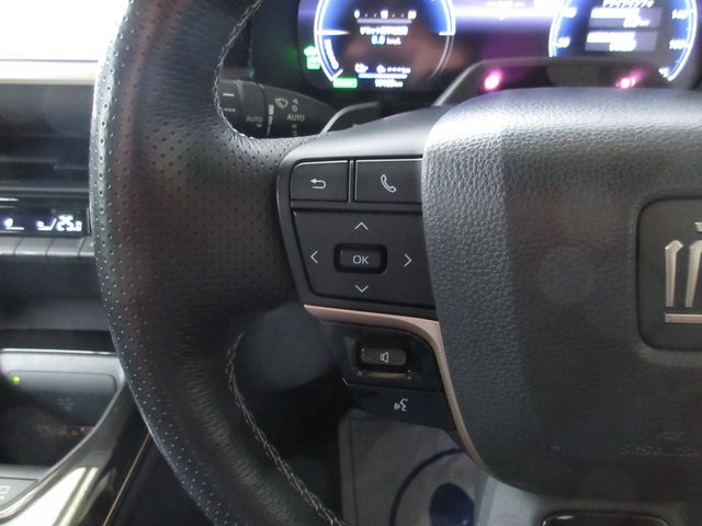 CROWN SPORT