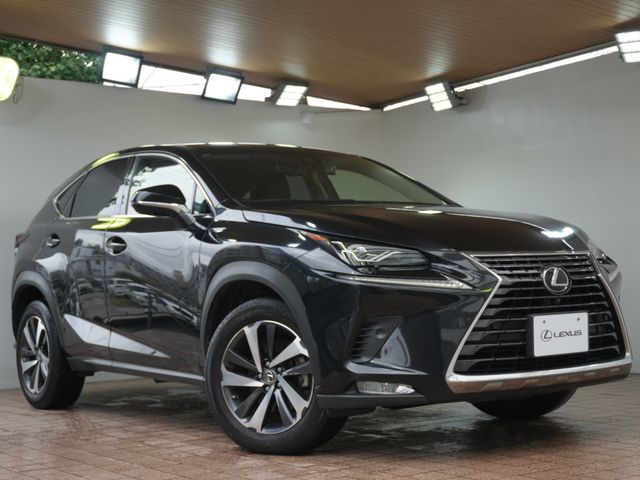 LEXUS NX300