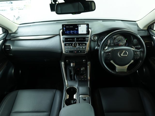 LEXUS NX300