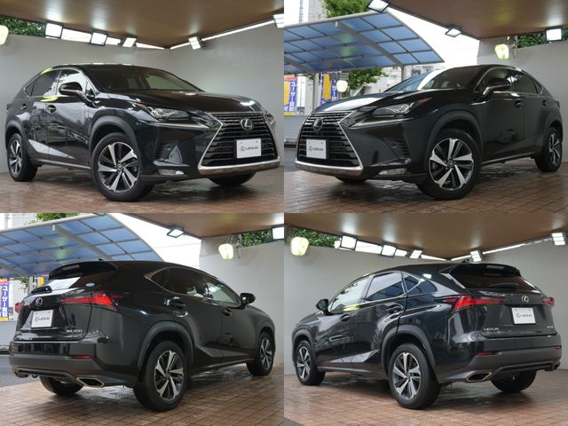 LEXUS NX300