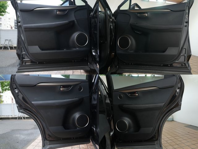 LEXUS NX300