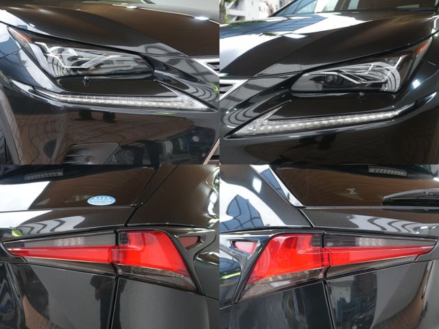 LEXUS NX300