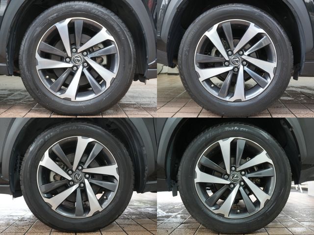 LEXUS NX300