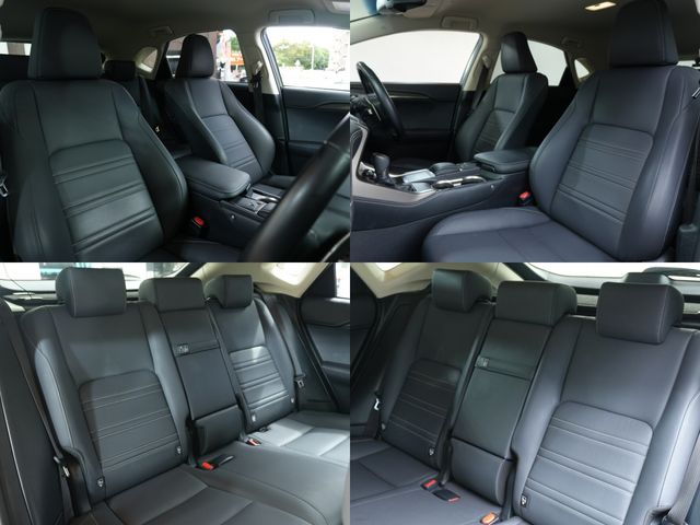 LEXUS NX300