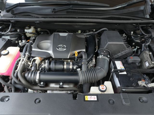 LEXUS NX300