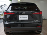 LEXUS NX300