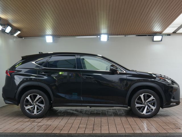 LEXUS NX300