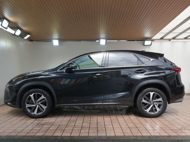 LEXUS NX300