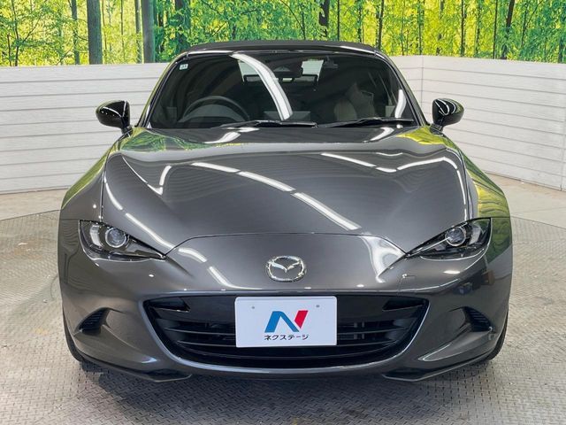 ROADSTER