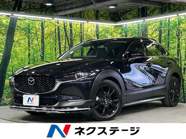 CX-30