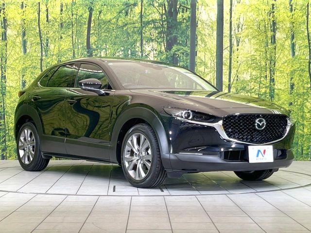 CX-30