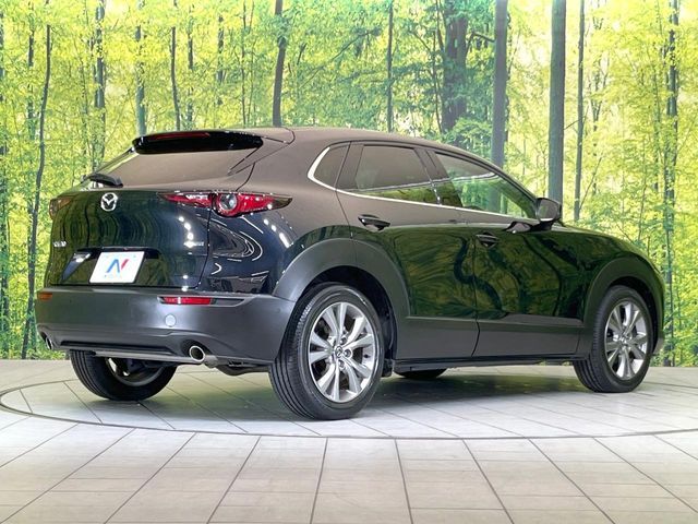 CX-30
