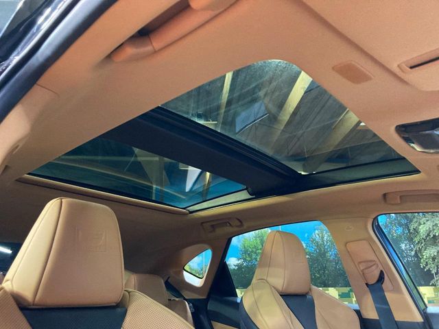 LEXUS NX350h