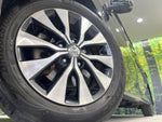 SERENA  S-HYBRID