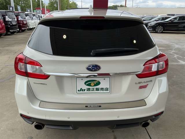 LEVORG