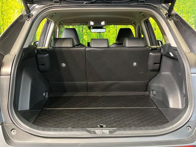 RAV4 HYBRID 4WD