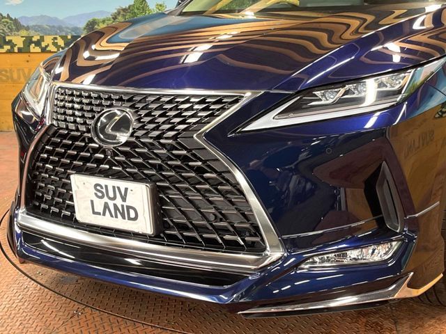 LEXUS RX300