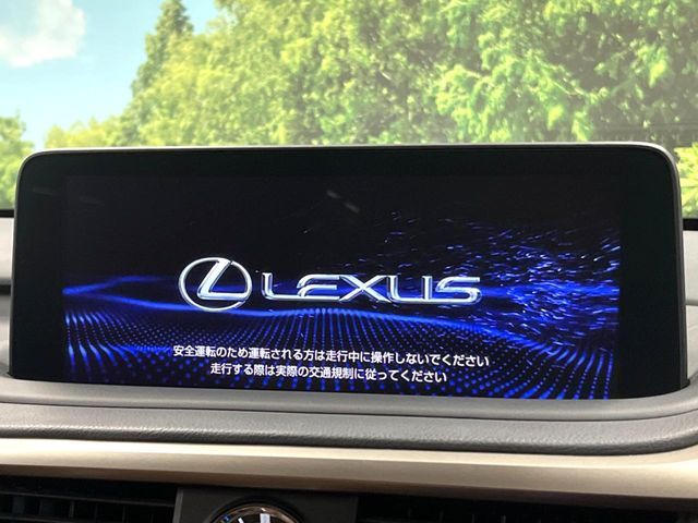 LEXUS RX300