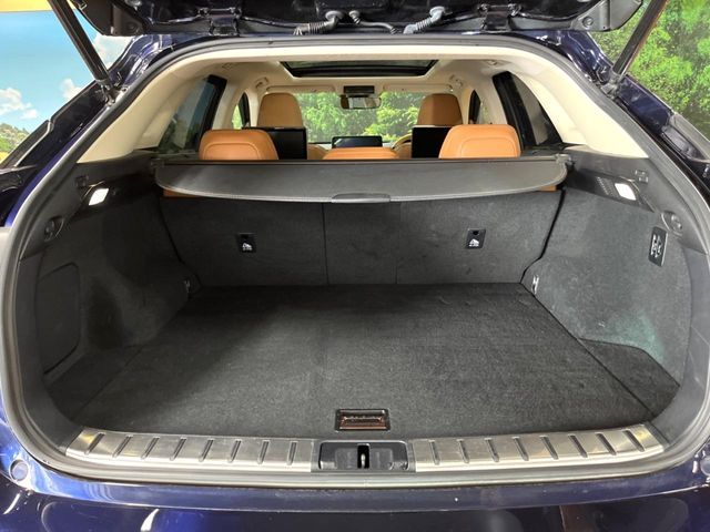 LEXUS RX300