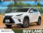 LEXUS NX300