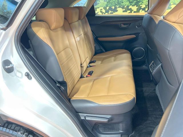 LEXUS NX300