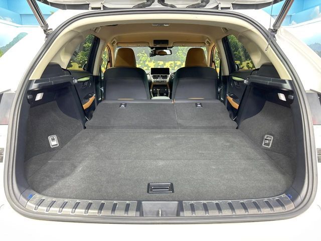 LEXUS NX300