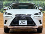 LEXUS NX300