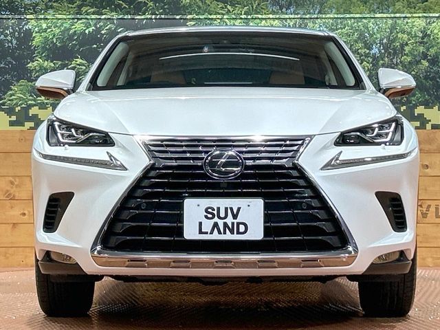 LEXUS NX300